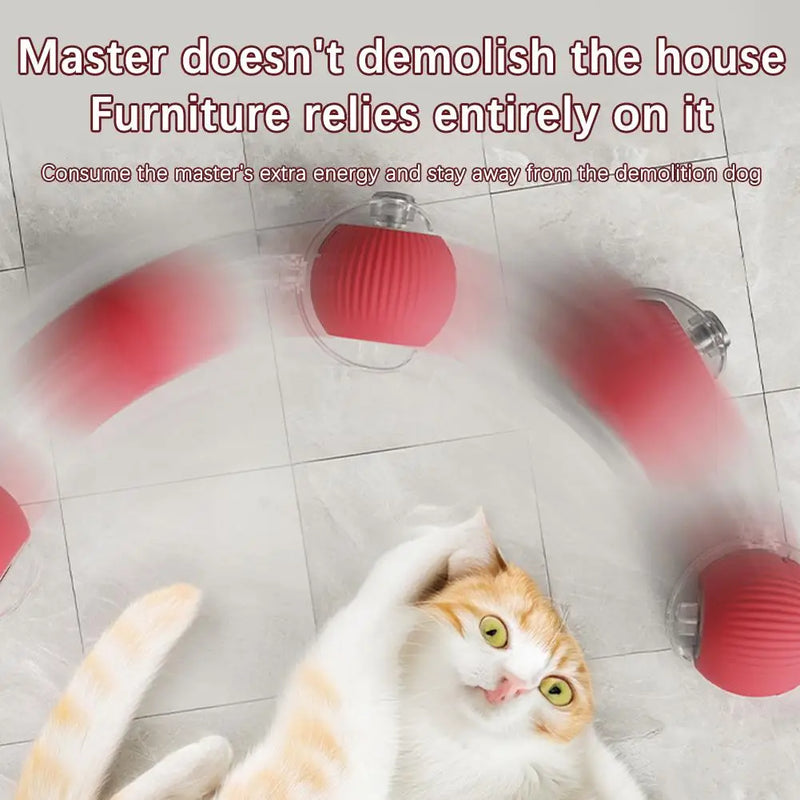 Interactive Cat Rolling Ball